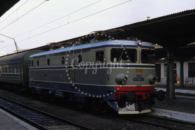 p3181707901-5.jpg