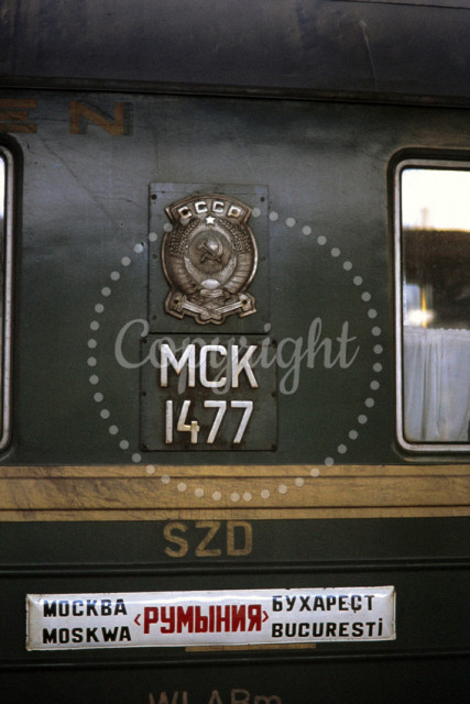 p3181708288-5.jpg