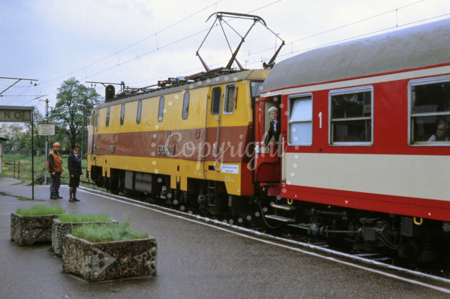 p3035036587-5.jpg