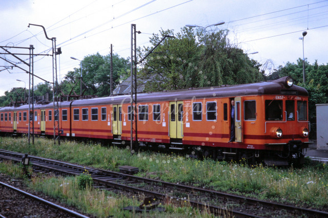 p3035036629-5.jpg