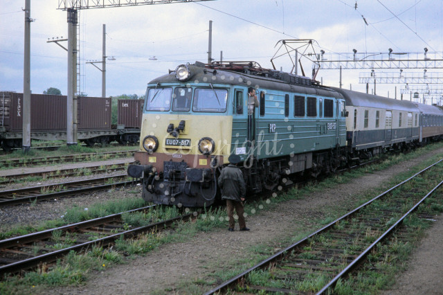 p3035038254-5.jpg