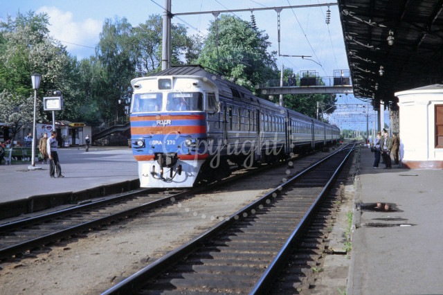 p3042714025-5.jpg