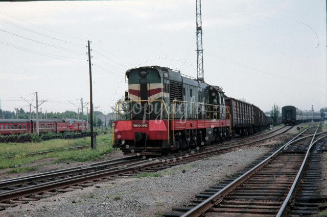 p2961701912-5.jpg