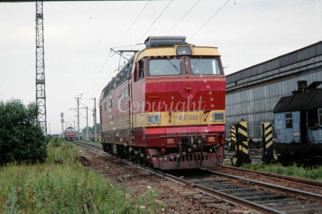 p2961713965-5.jpg