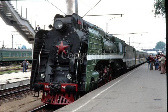 p2961694649-5.jpg