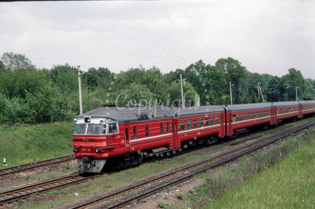 p2961718291-5.jpg