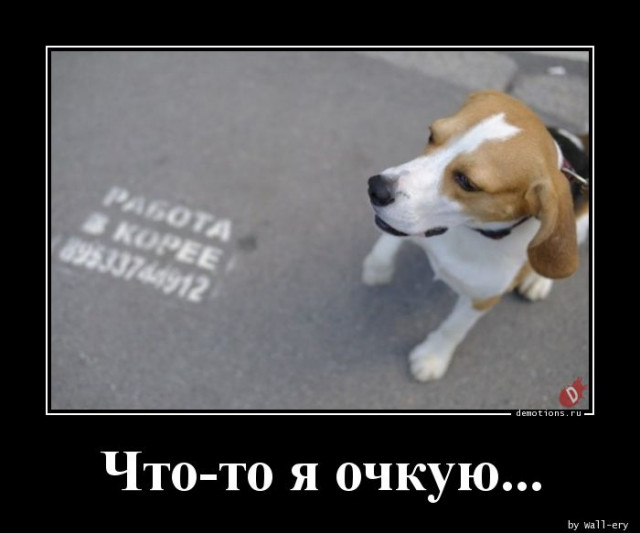 1546137239_Chto-to-ya-ochkuyu._demotions.ru.jpg