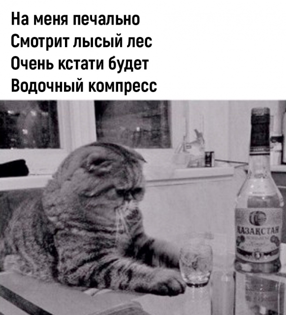 изображение_2022-10-01_122007086.png