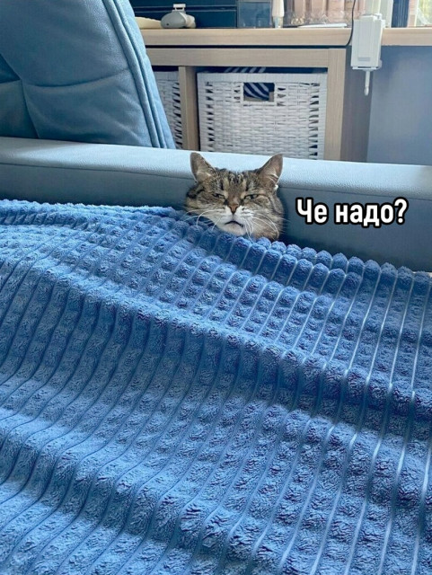 отв4.jpg (460.38 КБ) Просмотров: 4406 отв4.jpg