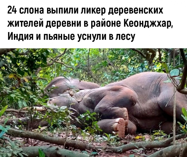 изображение_2022-11-14_210923340.png