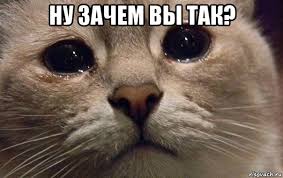 отв29.jpg