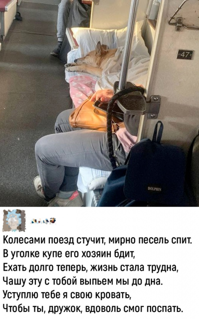 изображение_2023-01-01_141154319.png