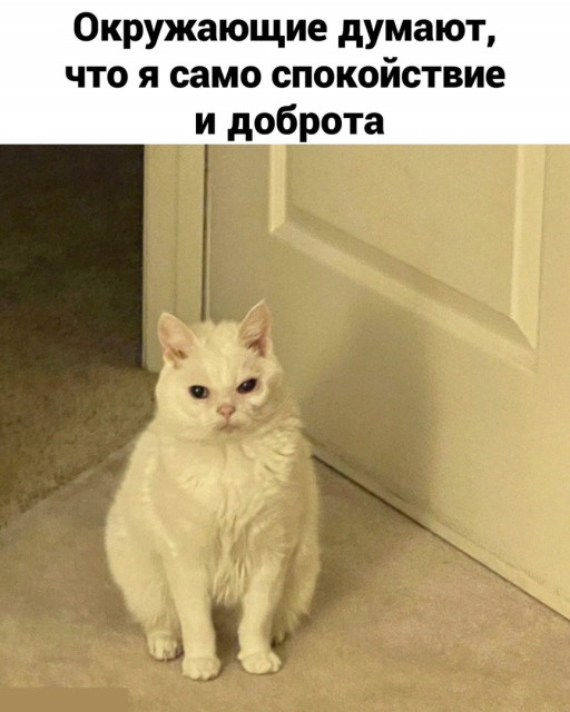отв6.jpg