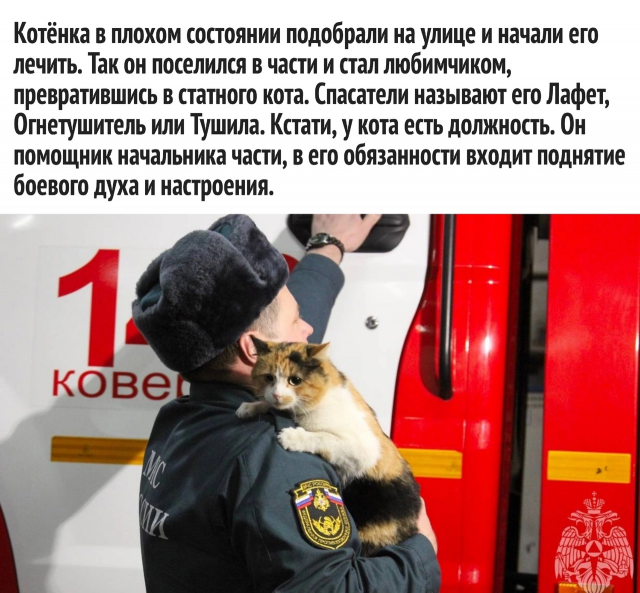 изображение_2023-02-19_203413000.png