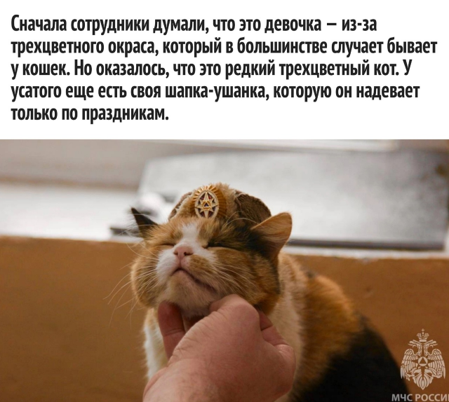 изображение_2023-02-19_203539474.png