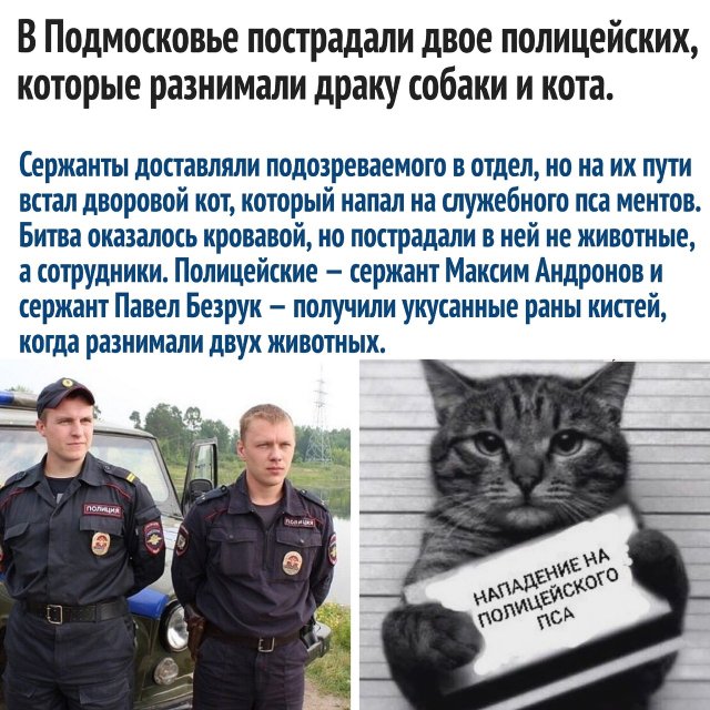 изображение_2023-03-22_151204349.png