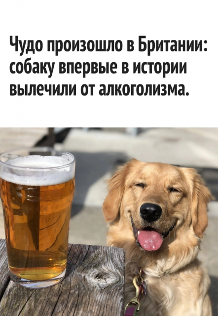 изображение_2023-04-08_205511574.png