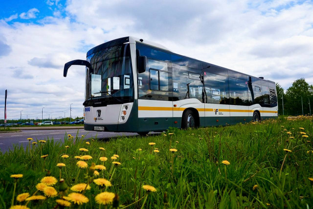 IMG_8290.jpeg (177.85 КБ) Просмотров: 1786 IMG_8290.jpeg