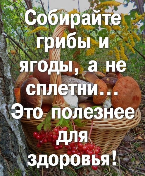 отв1.jpg