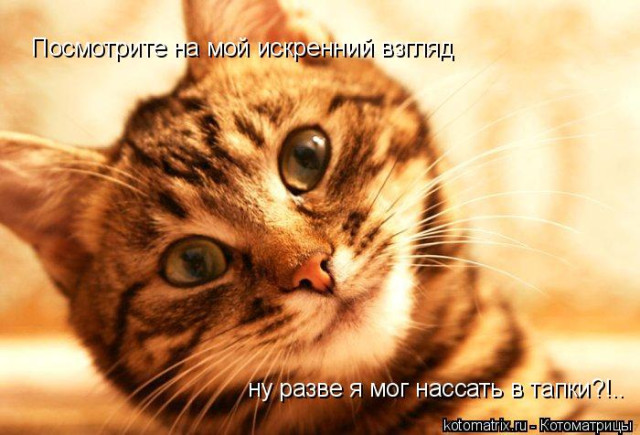 k.jpg
