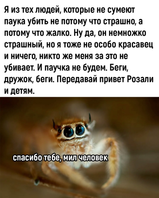 изображение_2023-07-13_215214529.png