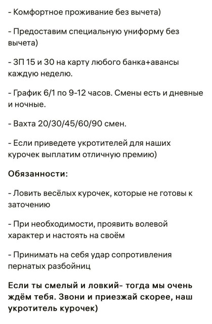 IMG_8586.jpeg