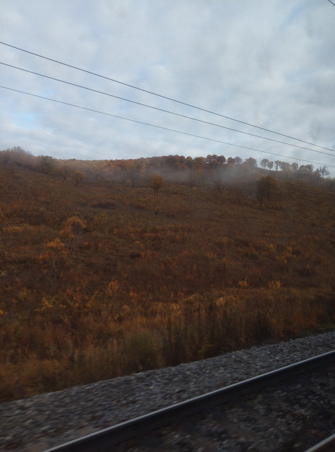 IMG_20230928_080436.jpg