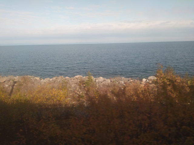 IMG_20231003_051814.jpg