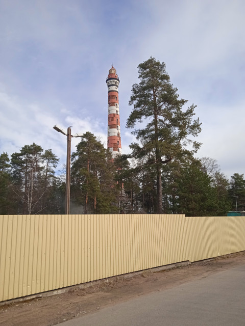 1716110344840.jpg