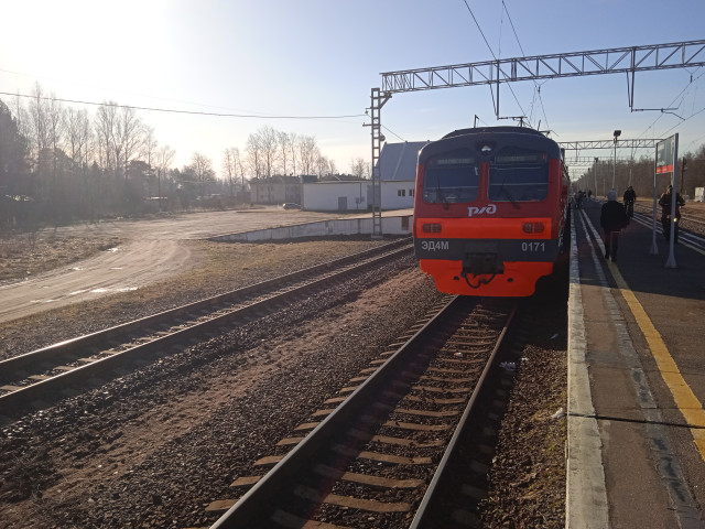 1716110396743.jpg