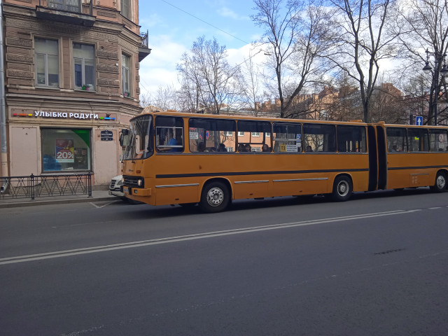 1716111529425.jpg