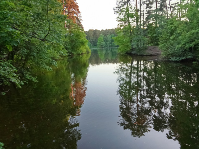 IMG_20240525_201132_012216.jpg