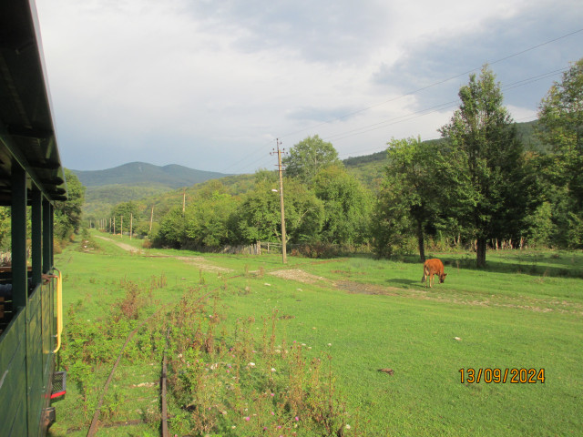IMG_1934.JPG