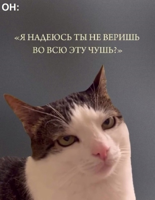 отв13.jpg