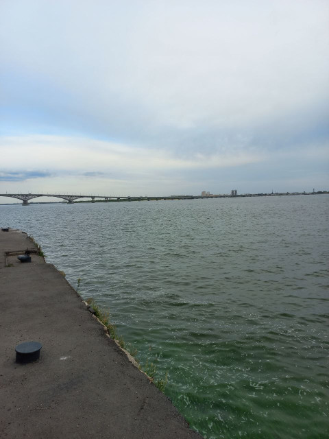 IMG_2539.jpeg