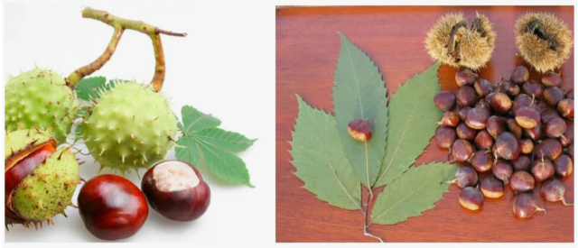 2025-10-20 15_08_18-Window.png