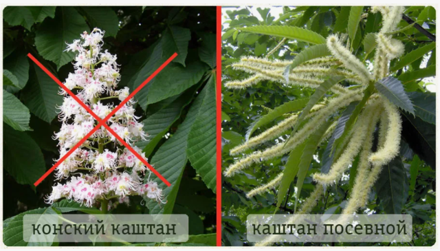 2025-10-20 15_09_26-Window.png