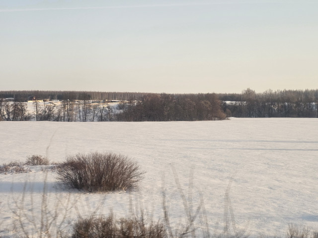 20260311_073521.jpg