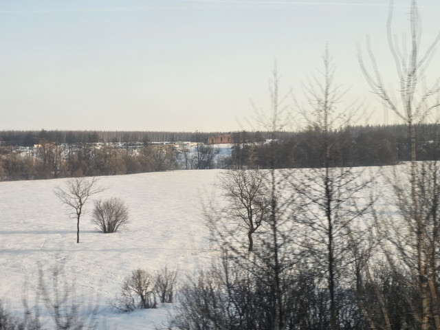 20260311_073529.jpg
