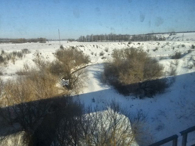20260311_094543.jpg