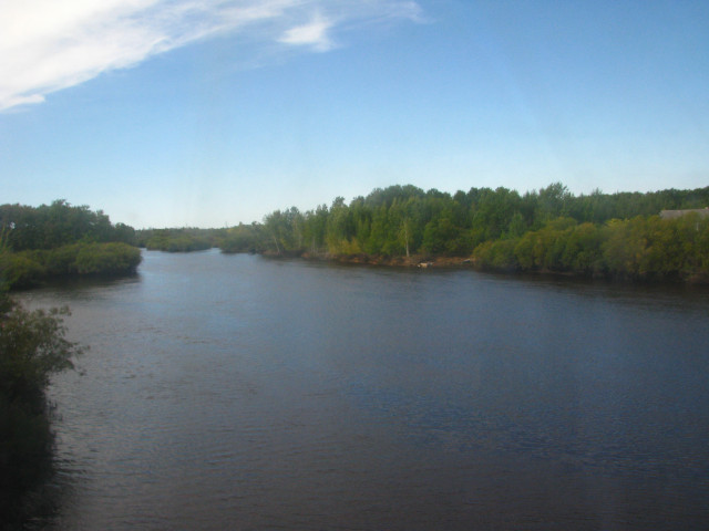 IMG_8384.JPG