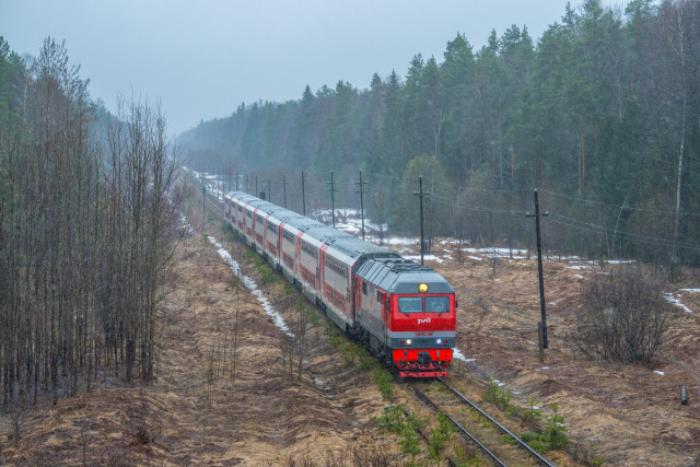 DSC_0537Э.РГ.jpg