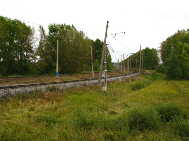 IMG_7366.JPG