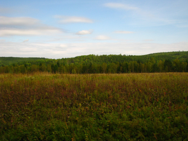 IMG_7371.JPG