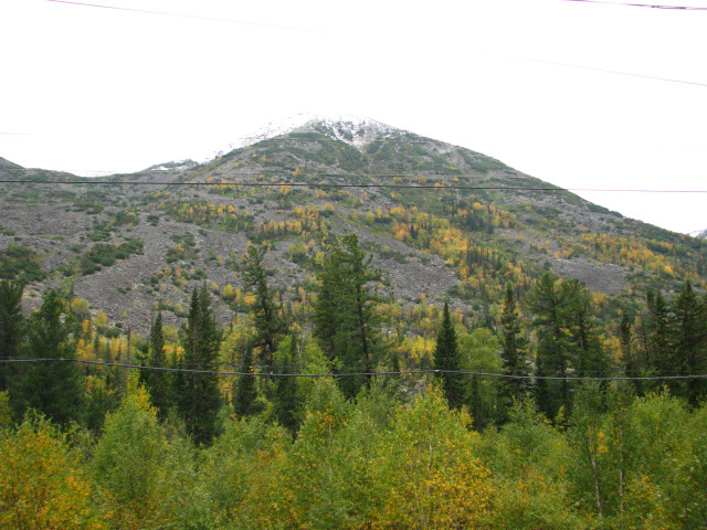 IMG_7444.JPG