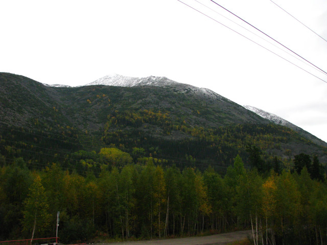 IMG_7445.JPG