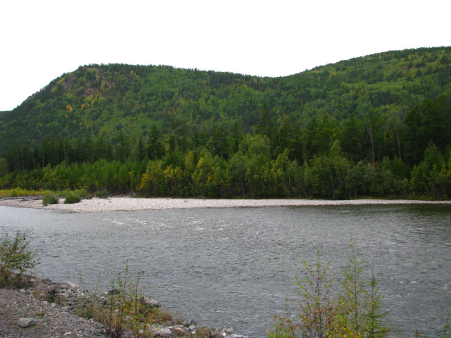 IMG_7466.JPG