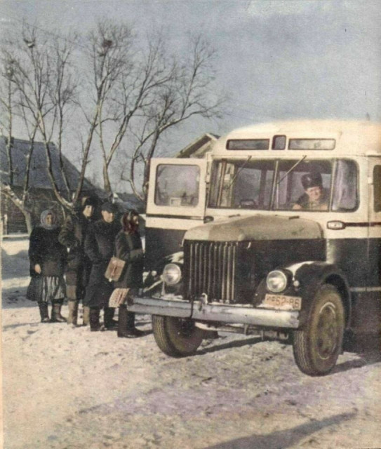 тмс.jpg
