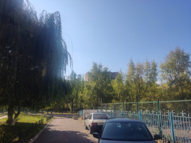 IMG_20261001_104718.jpg