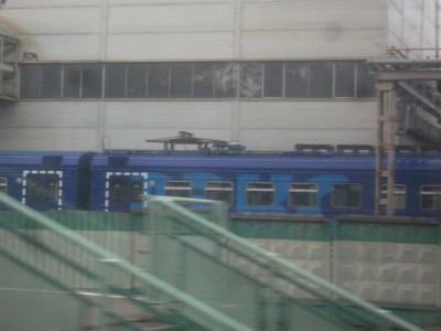 рекс.jpg